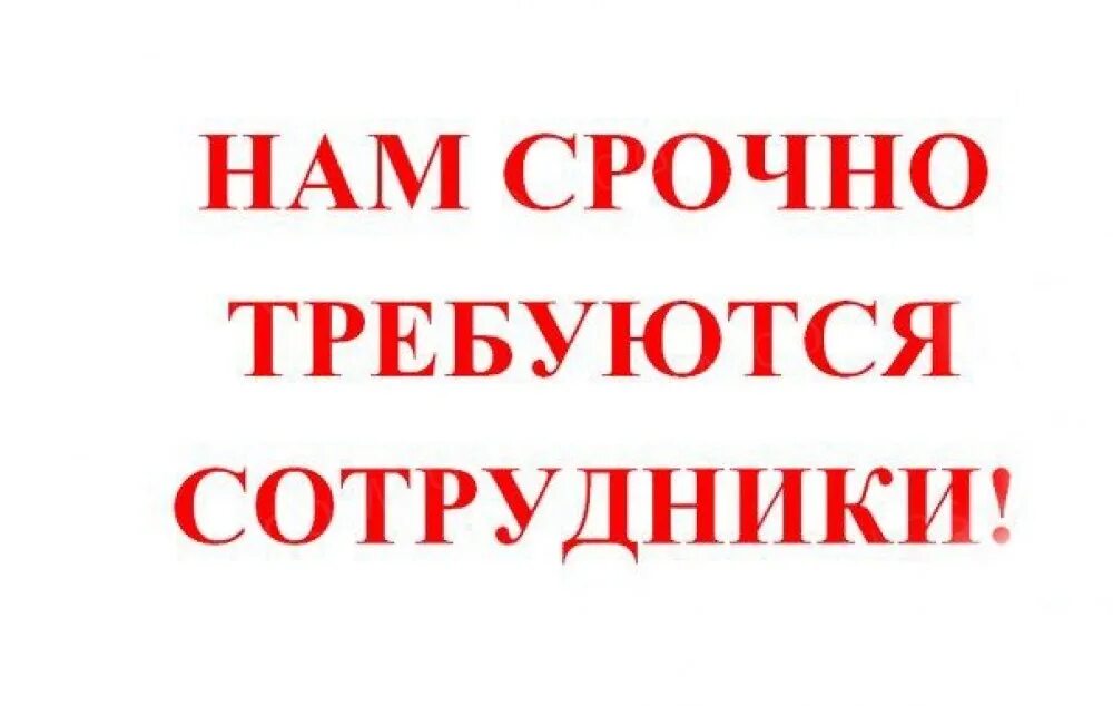 Срочно нужны сотрудники