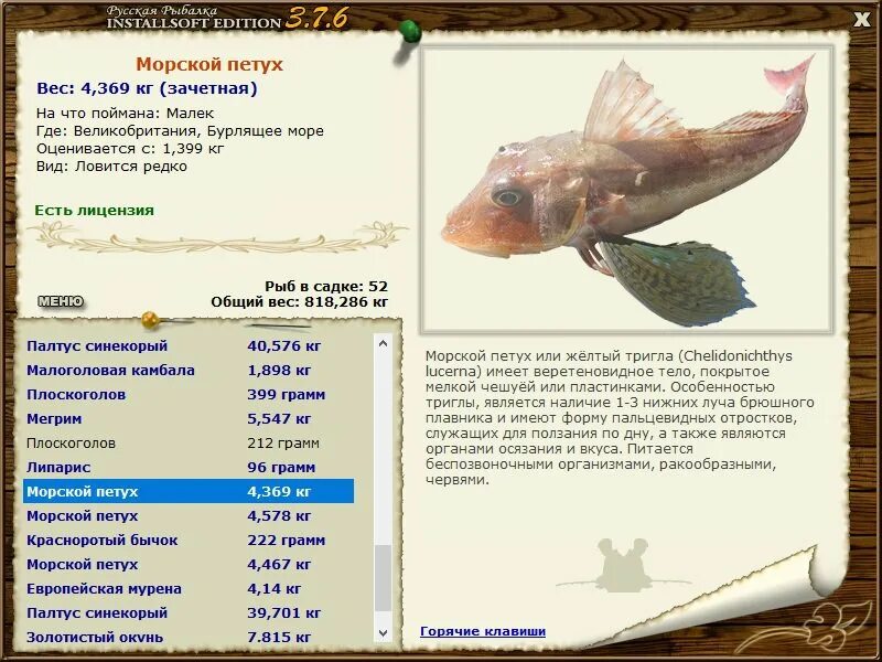 клички для рыб. рыба морской петух описание. морской петух описание кратко. русская рыбалка плоскоголов. самый большой уровень в русской рыбалке 4.