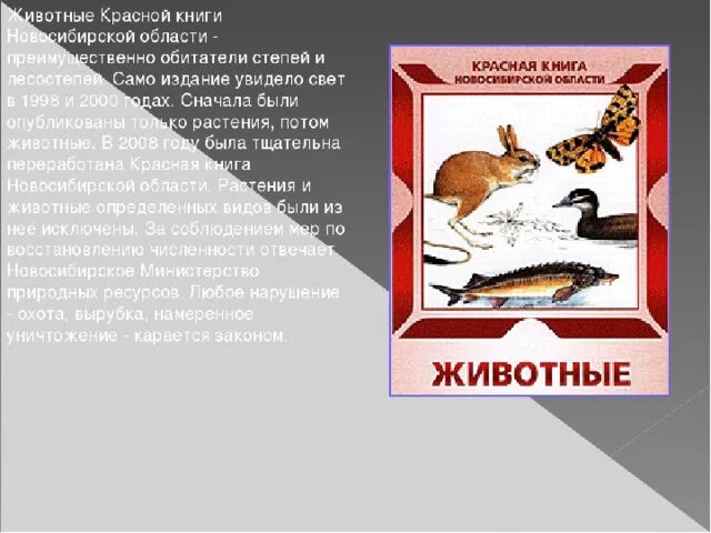 Красная книга новосибирска. Животные НСО занесенные в красную книгу. Животные из красной книги Новосибирской области. Исчезающие животные Новосибирской области. Животное НСО занесенное в красную книгу.