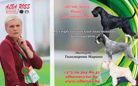 Выставка собак март 2024 липецк