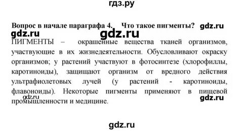 Лабораторная работа по биологии 5 класс ответы