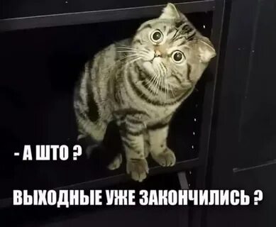 Когда выходные будет тебе