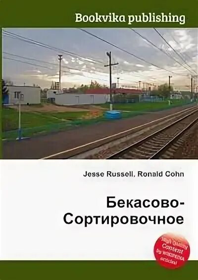 Расписание электричек бекасово сортировочная кубинка. Бекасово сорт жд станция. Расписание электричек бекасово центральное бекасово 1. Db бекасово. Вч в бекасово.