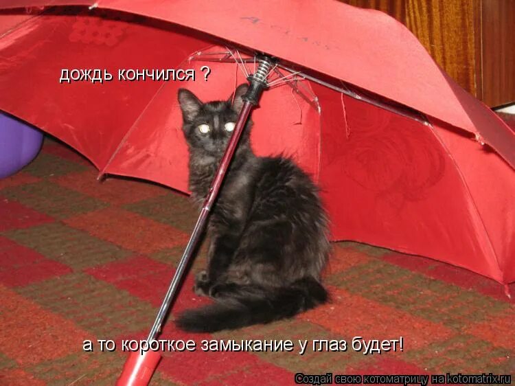 Дождь закончился ближе к полудню. Дождь кончился. дождь закончился. дождик закончился. котоматрица дождик.
