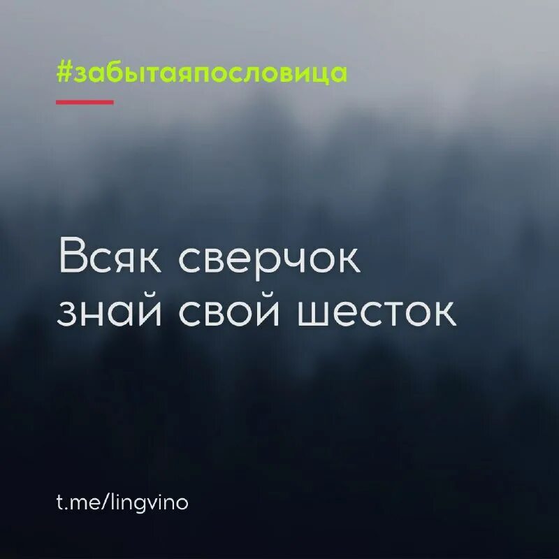 Всяк сверчок знай свой шесток. Каждый сверчок знай свой шесток значение пословицы. Каждый сверчок знай свой шесток значение пословицы. Знай свой шесток пословица. Каждый сверчок хвалит свой шесток.