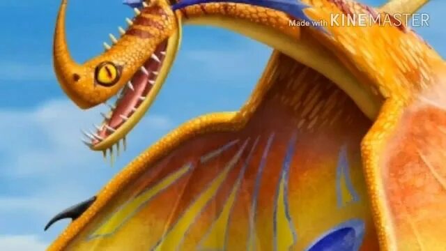 Спасатели (dragons. Тайфумеранг дракон. Драконы и всадники олуха тайфумеранг. Рескуе райдер драгон. Рескуе райдер драгон.