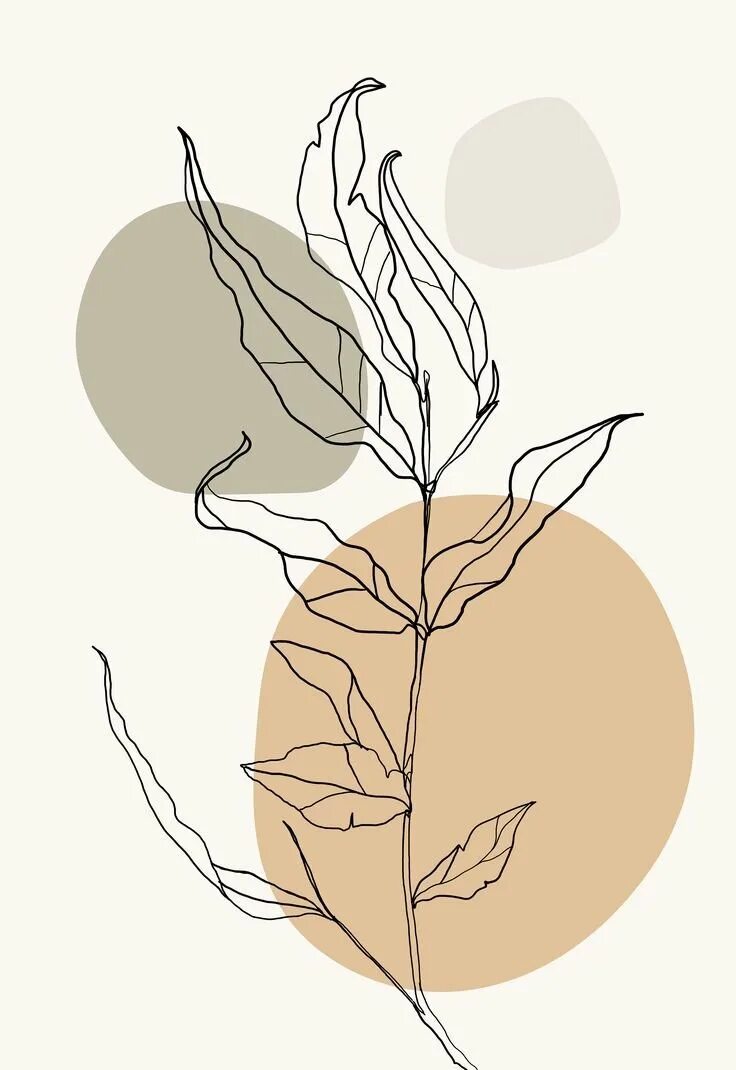 Стилизованные цветы. Зарисовки веток. Красивые линии. Растения одной линией. Листья одной линией.