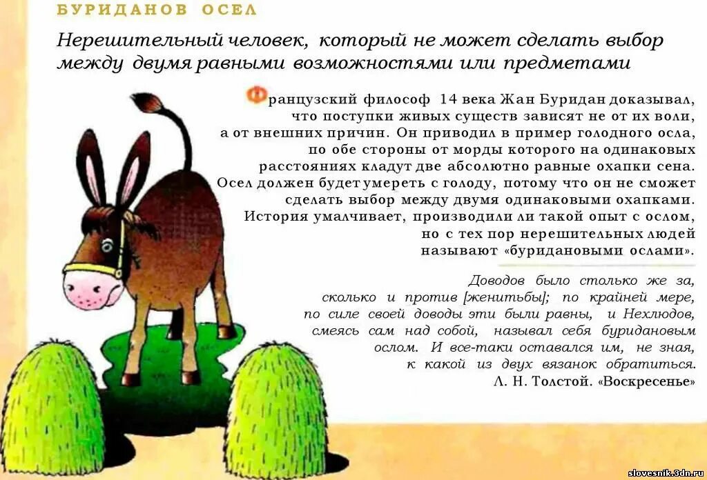 буриданов осел. буриданов осёл происхождение фразеологизма. парадокс буриданова осла. фразеологический словарь для детей. буриданов осел.