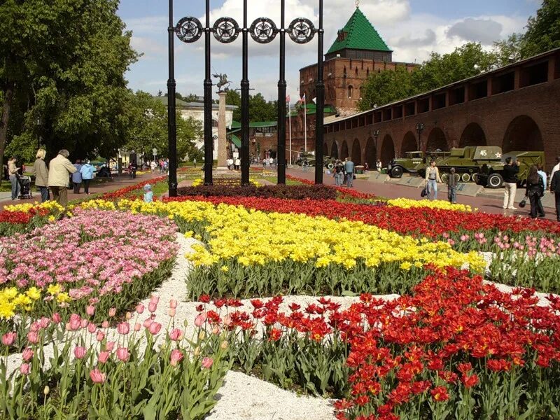 Flowers нижний новгород. Нижегородский Кремль клумбы. Нижний Новгород Кремль цветы. Цветники Нижний Новгород Кремль. Клумбы Кремля Нижний Новгород.