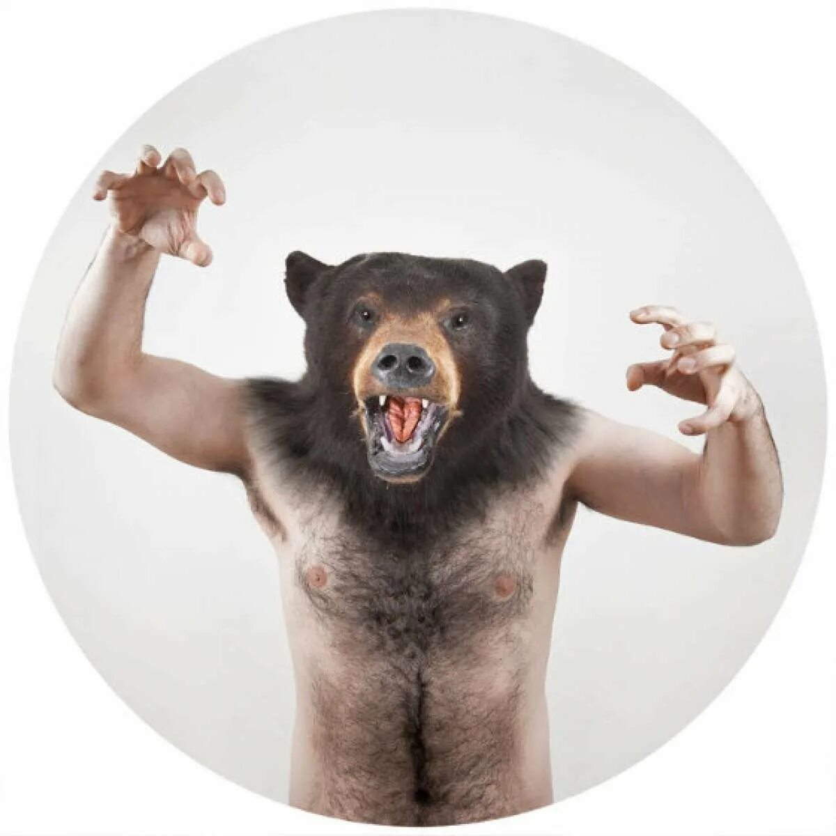 Медведь в лесу. Медведь арт. Фильм гризли 2015 медведь. Грозный медведь гризли. Медведь гризли против тигра.