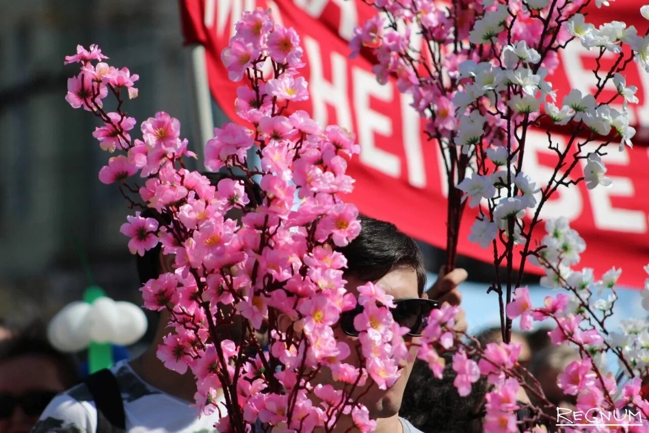 8 may day. Первомай цветы. 1 Мая цветы. Украшения на Первомай.