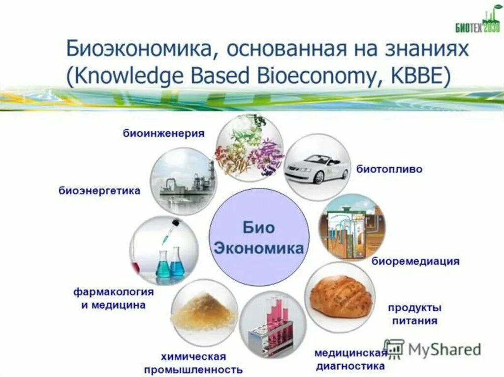 Биотехнология отзывы. Биотехнология. Биоэкономика. Биотехнология картинки. Экологическая биотехнология.