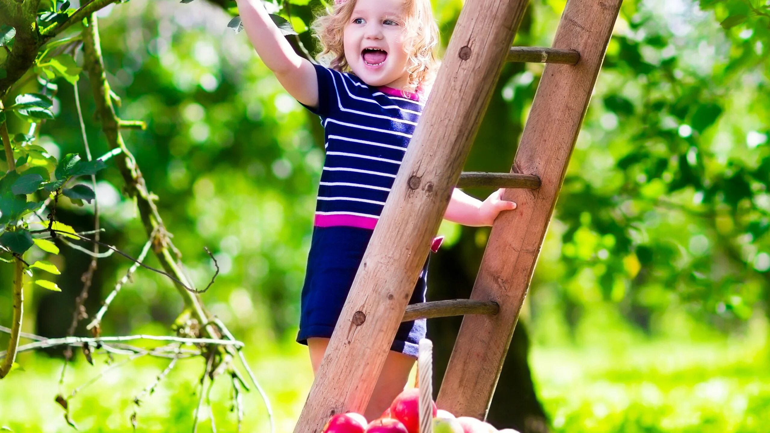 Парень несет девушку на руках. Девушка на шпагате со спины. Девочка поднимают дом. Анастасия завистовская растяжка. Анастасия завистовская балерина.