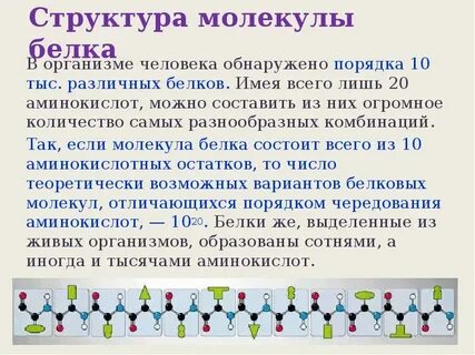 В состав белков входят разных аминокислот
