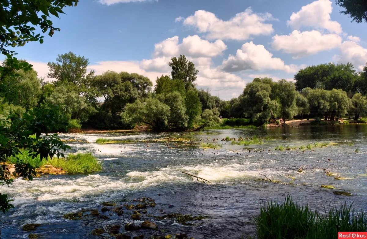 Речка Сейм Курск. Река Сейм Курская область. Сейм (река) реки Курской области. Река Сейм Курская.