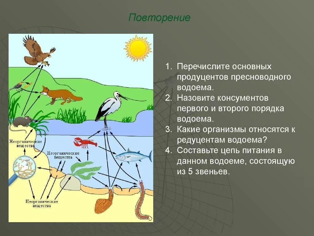 Экосистема. Характеристика экосистемы. Экосистема и биогеоценоз. Биогеоценоз примеры.