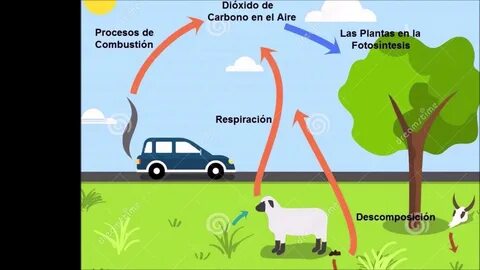 Carbon dioxide