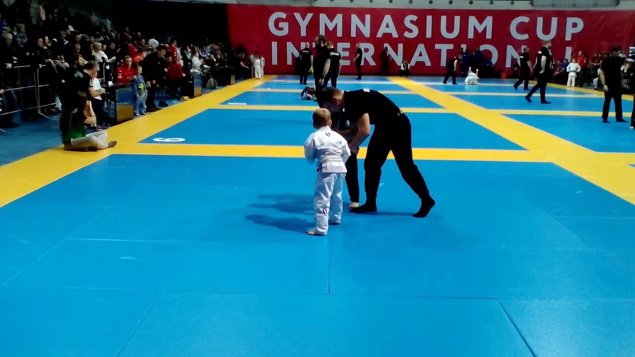 Гимназиум джиу-джитсу москва. Gymnasium cup 2022. Gymnasium cup 13. Gymnasium cup. Gymnasium cup 2022.