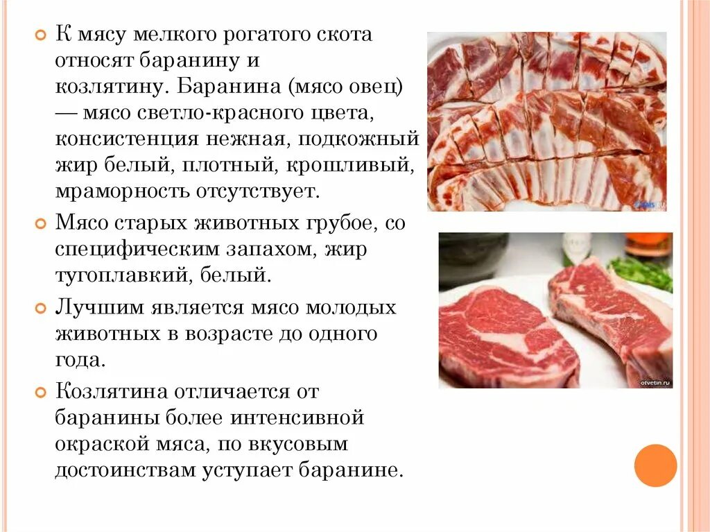 Мясо мелкого рогатого скота. Виды мяса. Употребление в пищу мяса.