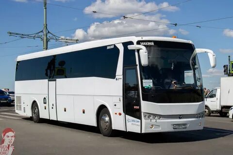 Автобус 38
