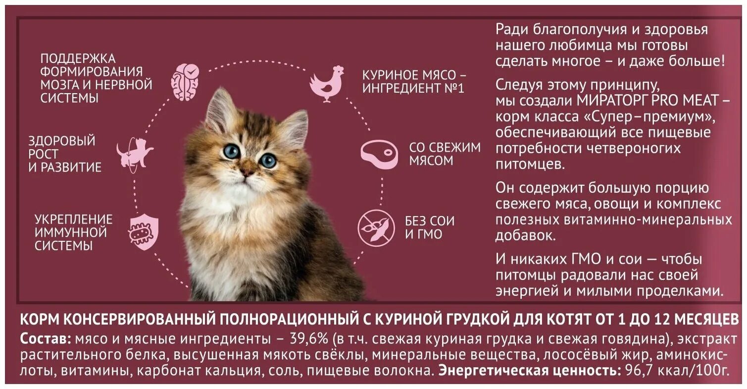 Мираторг meat для кошек. Мираторг для котят. Мираторг про мит для котят. Мираторг Pro meat Kitten с куриной грудкой 400 гр. Мираторг Pro meat Kittens для котят с куриной грудкой.