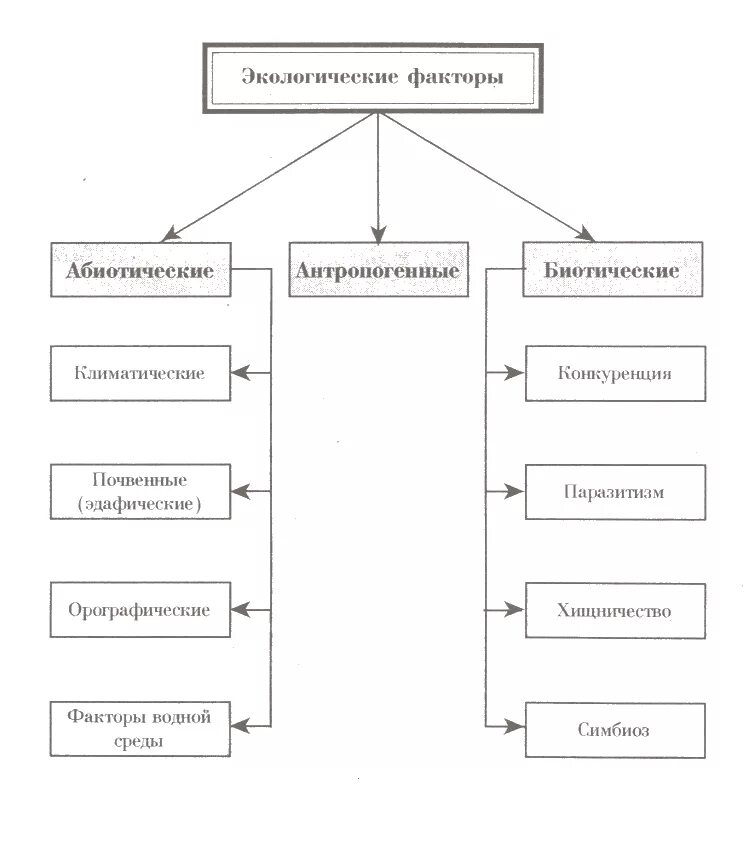 Схема классификации экологических факторов. Схема экологические факторы. Биология схема экологические факторы. Схема экологические факторы среды. Типы факторов окружающей среды