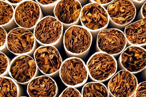 Tobacco