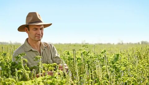 Farmer appelle