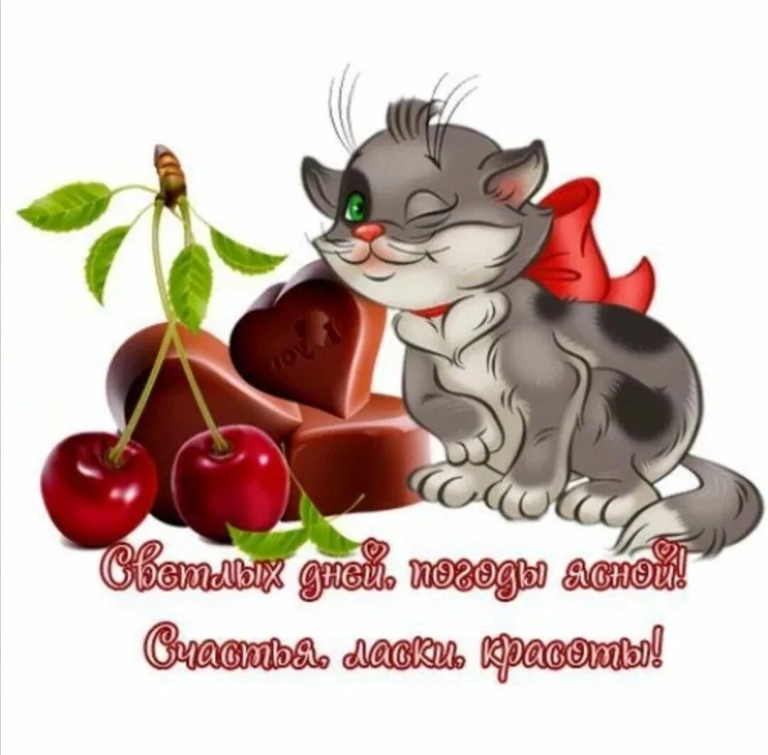 Стикеры доброго дня и хорошего настроения. Открытка для мужчины просто так. красивые стикеры для друзей с пожеланиями. открытки просто так для настроения. открытки для мужчины просто так для настроения.