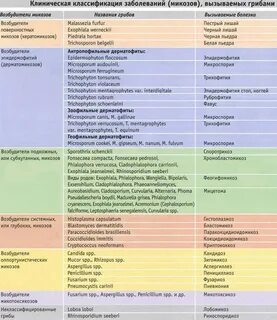 Название бактериальных инфекций