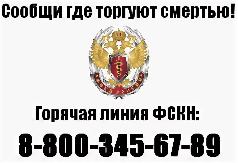 Наркоконтроль горячая. Госнаркоконтроль. номер телефона госнаркоконтроля.
