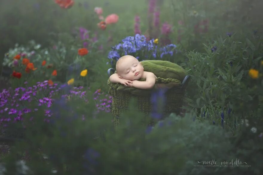 Sleeping in the garden