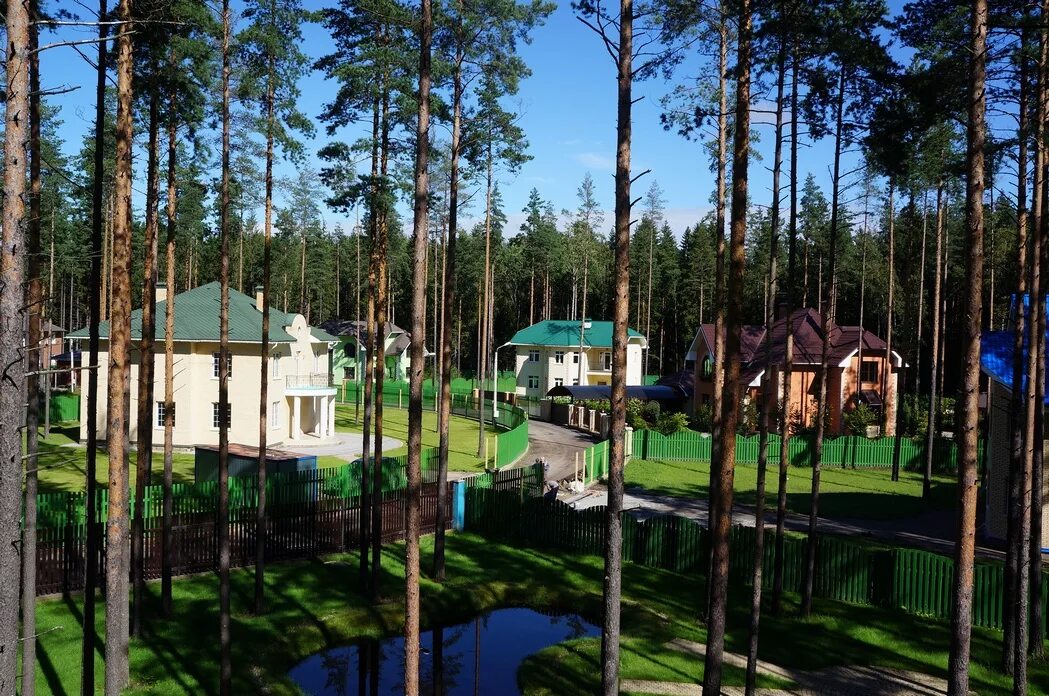 Солнечный бор череповец. Солнечный бор всеволожск. солнечный бор череповец база. солнечный бор череповец база отдыха.