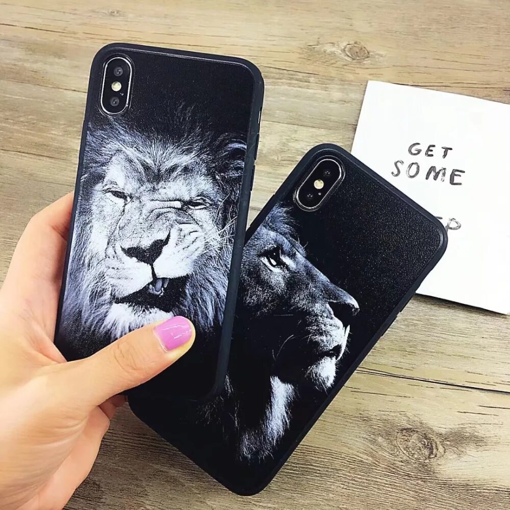 Lion cases