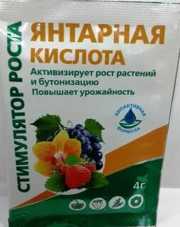 Можно подкормить цветы янтарной кислотой