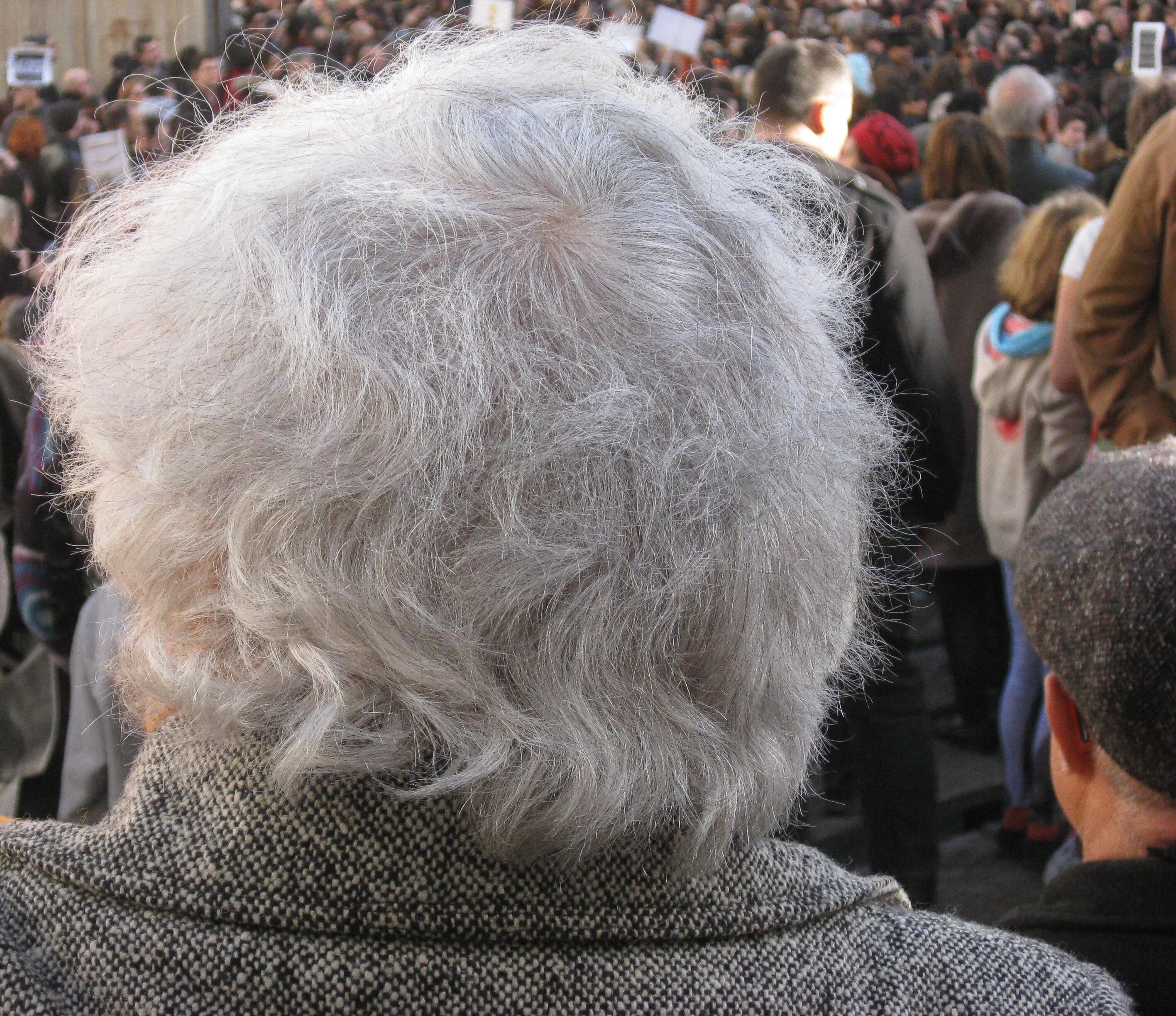 Волосы пожилых. Дафна селф 85-летняя модель из великобритании. Сестры сазерленд. Старая волос. Старая волос.