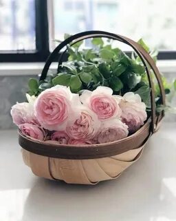 Цветы в добром