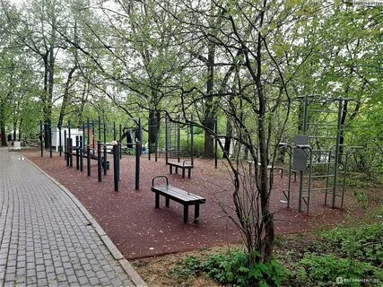 В парке залит