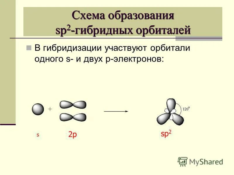 Образование гибридов