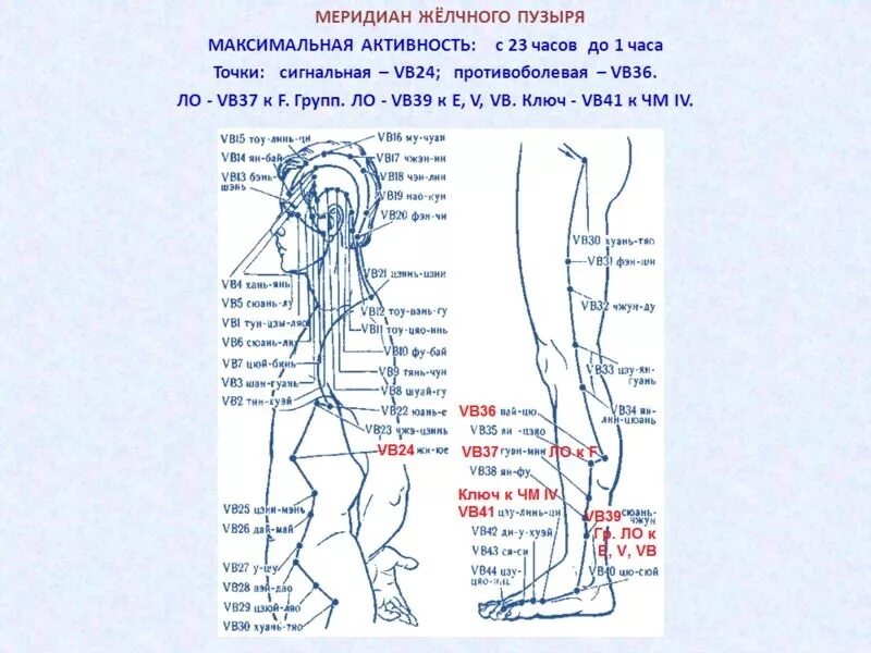 Меридиан желчного пузыря акупунктура. Меридианы человека схема и точки акупунктуры. Меридиан печени в китайской медицине точки. Акупунктура меридианы тела человека схема.