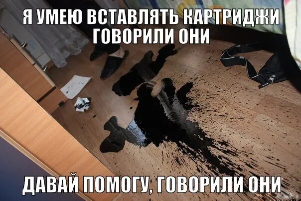 Пауки на палатке. Заведи кота говорили они коты создают уют. Кот в лотке. Пойдем в поход говорили они будет весело. Заведи кота.