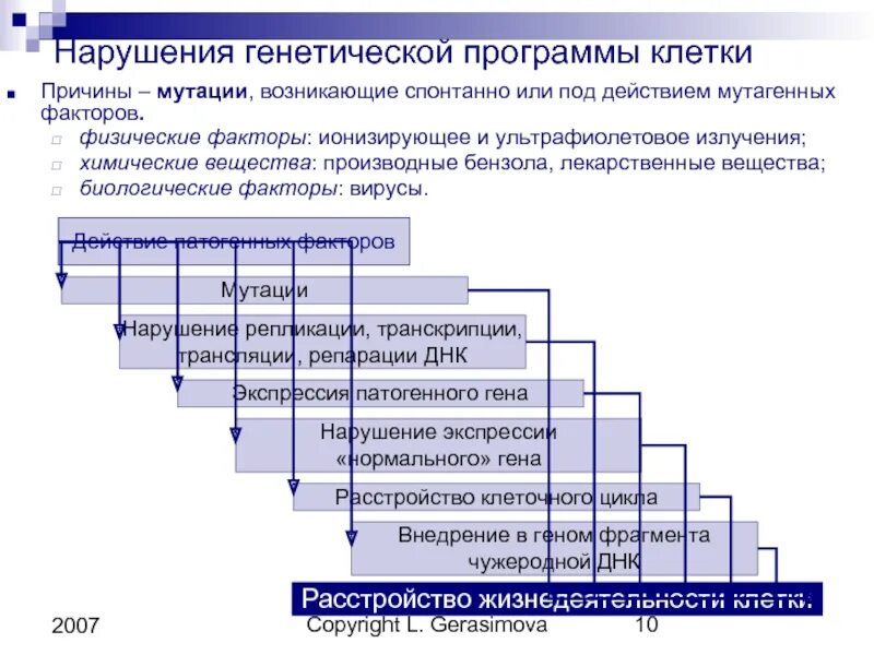 Нарушение наследственной программы клетки. Генетические нарушения клетки. .Генетическая программа клетки. Нарушение генетической программы клетки и ее реализации. Наследственная программа