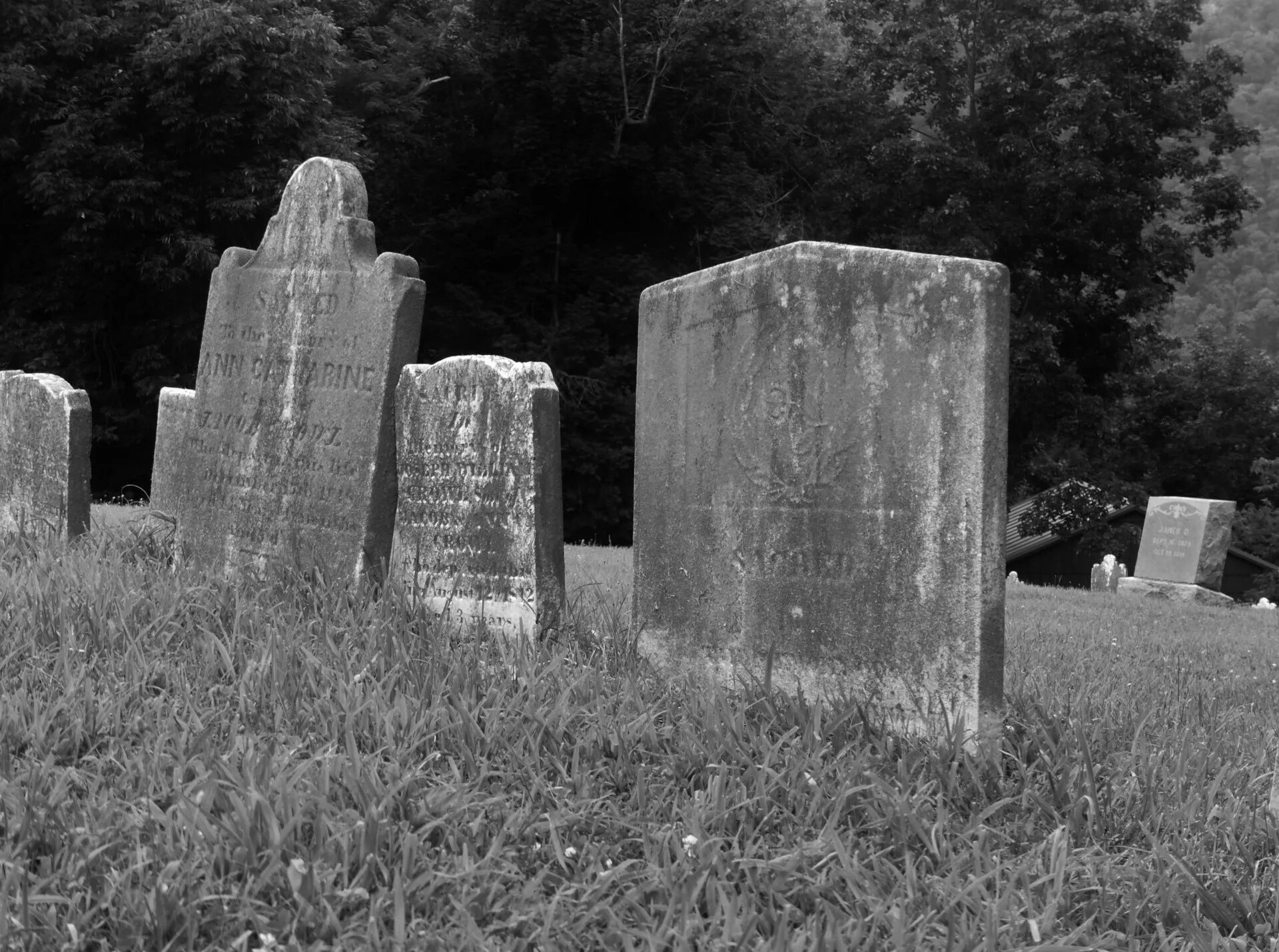 Old graves