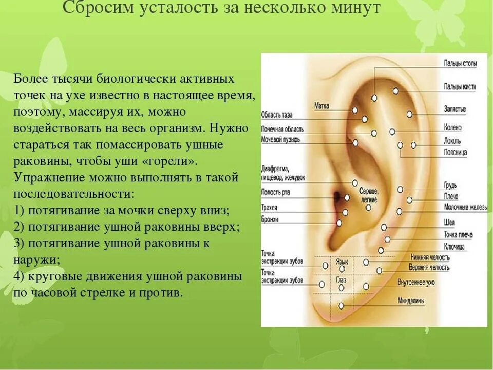 Что означают уши для мусульман. Схема точек акупунктуры ушной раковины. Акупунктурные точки ушной раковины человека схема. Точечный массаж ушной раковины. Точки воздействия на ушной раковине.