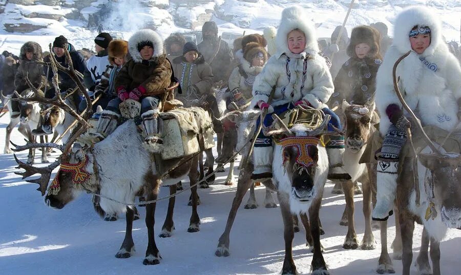 Жизни народов. Эвены оленеводы. Эвены и ненцы. Коренные малочисленные народы севера Якутия. Ненцы-оленеводы кочевье.