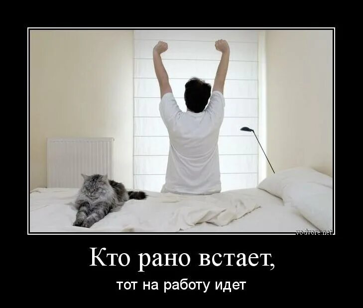 Встань с него