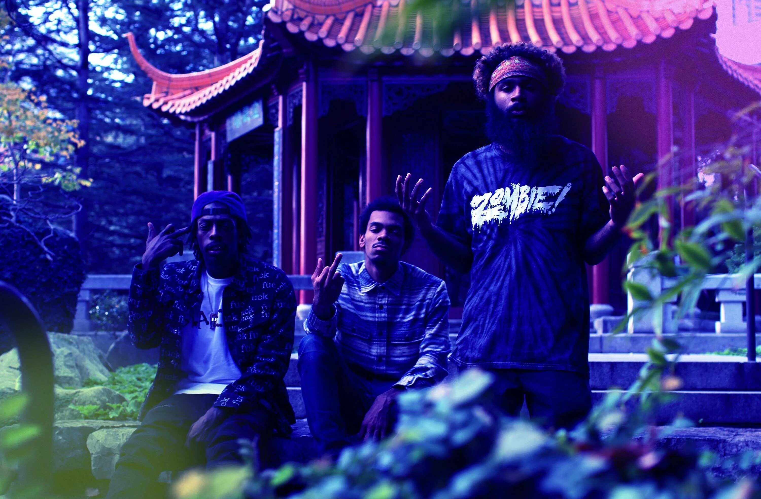 Flatbush zombies