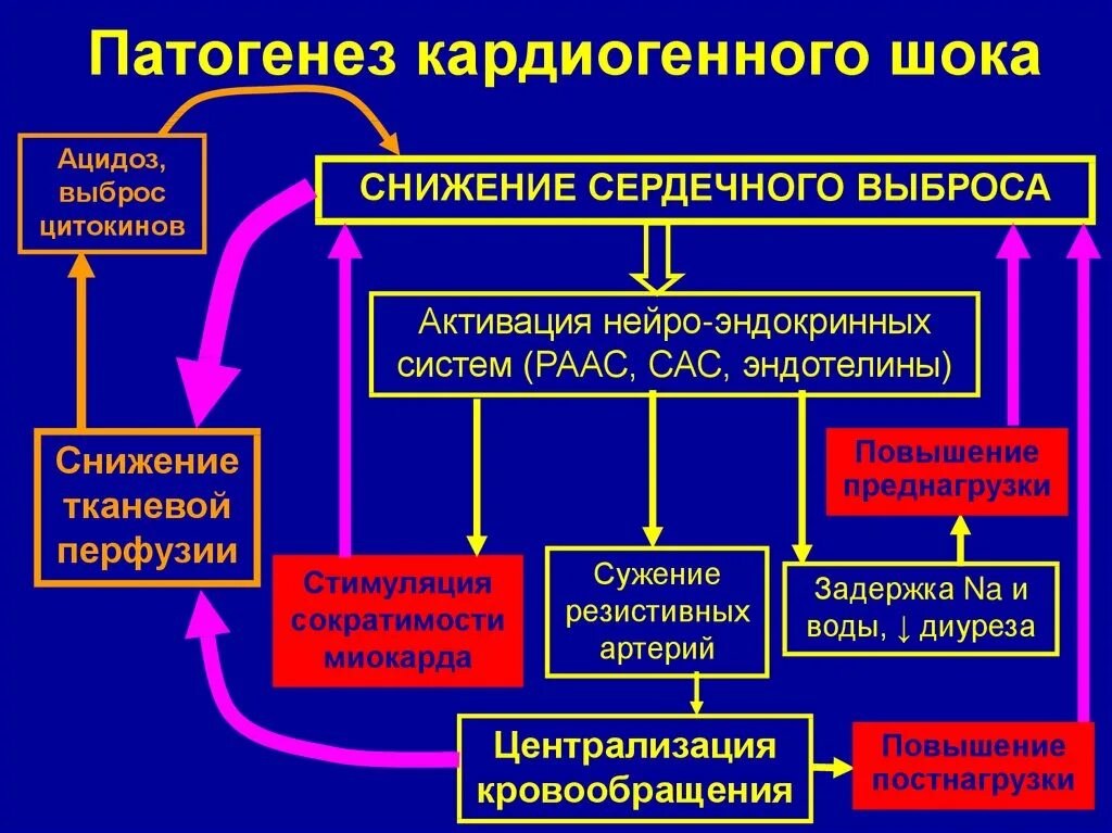 Механизм развития кардиогенного шока. Кардиогенный ШОК патогенез и особенности. Истинный кардиогенный ШОК патогенез. Патогенез кардиогенного шока при острой сердечной недостаточности.