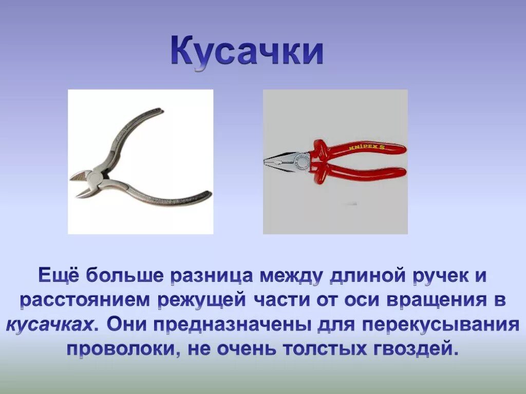 Рычаги техники в природе. Кусачки рычаг физика. Рычаги в технике быту и природе кусачки. Рычаги в природе. Рычаги в быту и технике.