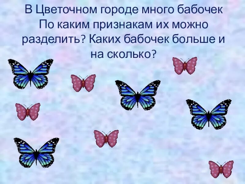 Признаки много бабочек. Расположи бабочек по признаку. Название мероприятия по бабочкам. Расскажи каких бабочек ты видел летом. Бабочка какой вопрос